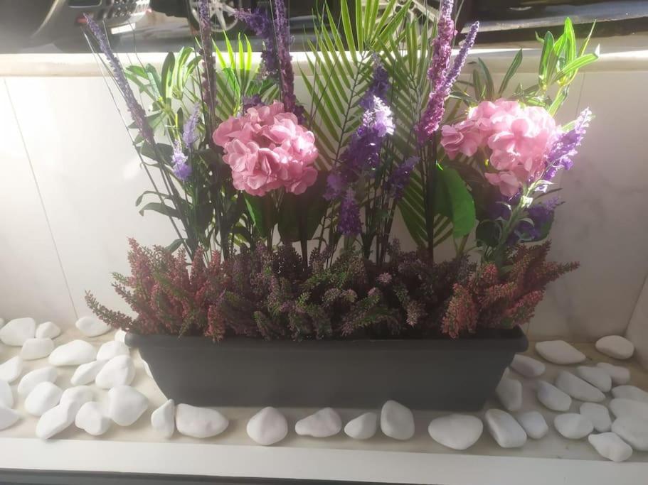 Studio Apartment With All Amenities In Kolonaki เอเธนส์ ภายนอก รูปภาพ